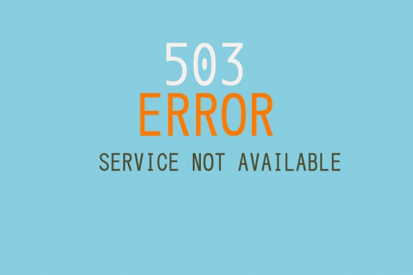 solución error 503